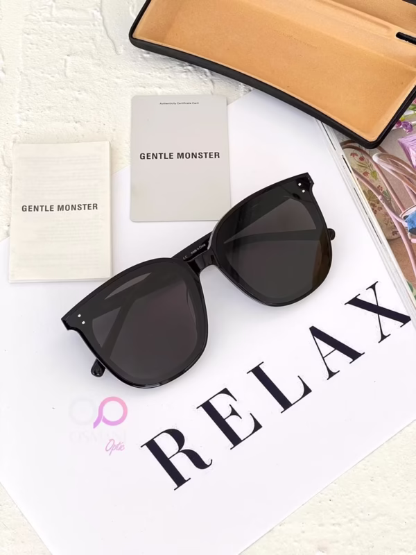 خرید قیمت عینک آفتابی اسپرت جنتل مانستر مدل GENTLE MONSTER MY MA عثمانی اپتیک