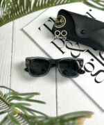 Ray Ban RB 0840S