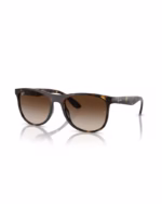 خرید قیمت عینک آفتابی اسپرت ریبن مدل RayBan RB4412 عثمانی اپتیک