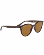 عینک آفتابی اسپرت ریبن مدل RayBan RB4305 - Image 3