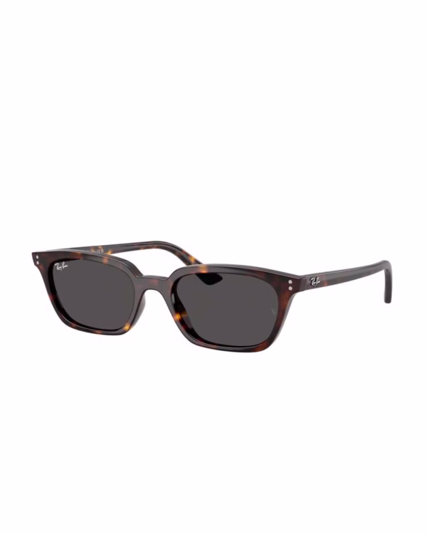 عینک آفتابی اورجینال زنانه ریبن مدل Rayban RB4456F ZAYA